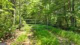 LOT 1 High Knee Road - Photo 12