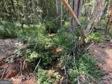 LOT 4 Happy Hollow Road - Photo 10