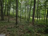 0 Twisted Oak Road - Photo 12