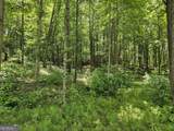 0 Twisted Oak Road - Photo 3