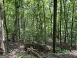 0 Lavender Trail - Photo 12