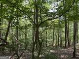 0 Lavender Trail - Photo 13