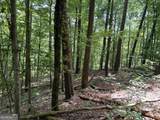 0 Lavender Trail - Photo 14