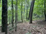 0 Lavender Trail - Photo 16