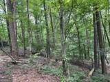 0 Lavender Trail - Photo 17