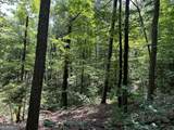 0 Lavender Trail - Photo 18