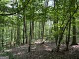 0 Lavender Trail - Photo 23