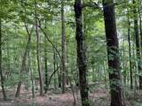 0 Lavender Trail - Photo 29