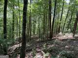 0 Lavender Trail - Photo 3