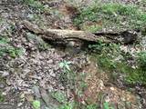 0 Lavender Trail - Photo 34