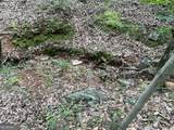0 Lavender Trail - Photo 36