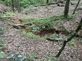 0 Lavender Trail - Photo 37