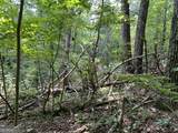 0 Lavender Trail - Photo 5