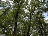 0 Lavender Trail - Photo 8