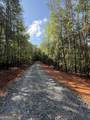 LOT 2 Helipad Road - Photo 1