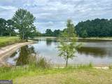 1302 Jim Sapp Road - Photo 46