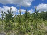 0 Bartow-Dublin Road - Photo 24