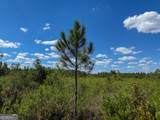 0 Highway 84 - Photo 10