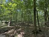 0 Rum Creek Road - Photo 13