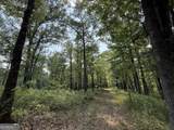 0 Rum Creek Road - Photo 4