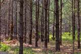 0 Canoochee Road - Photo 11