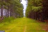 0 Canoochee Road - Photo 14