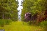 0 Canoochee Road - Photo 15