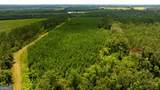 0 Canoochee Road - Photo 8