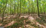 0 LOT 3 Reed Creek Point - Photo 18