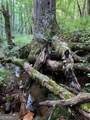 LOT 7 Highpoint Ridge Road - Photo 29