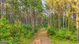 0 Fortune Hole Road - Photo 14