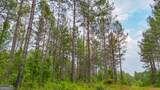 0 Fortune Hole Road - Photo 17