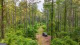 0 Fortune Hole Road - Photo 2