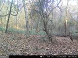 3644-3792 Fortune Hole Road - Photo 36