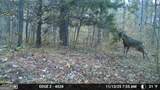 3644-3792 Fortune Hole Road - Photo 41