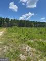 87.21 AC Bay Branch Church Road - Photo 3
