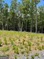 LOT 95 The Ridges - Photo 3