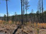 LOT 147 Creekside Crossing - Photo 26
