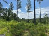 LOT 147 Creekside Crossing - Photo 9