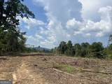 2055 Blacks Bluff Road - Photo 11