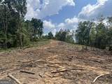 2055 Blacks Bluff Road - Photo 5