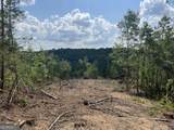 2055 Blacks Bluff Road - Photo 6