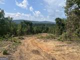 2055 Blacks Bluff Road - Photo 8