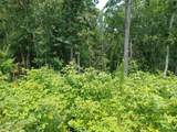 33 Ridge Line Trail - Photo 4