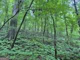 180.14 AC Johnson Mill Road - Photo 4