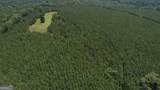 180.14 AC Johnson Mill Road - Photo 5