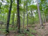0 Old Yorkville Road - Photo 10