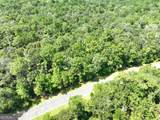 LOT 50 Tar Flower Trail - Photo 12
