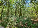 LOT 50 Tar Flower Trail - Photo 46