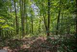 LOT 103R Mountain Creek Hollow Drive - Photo 10